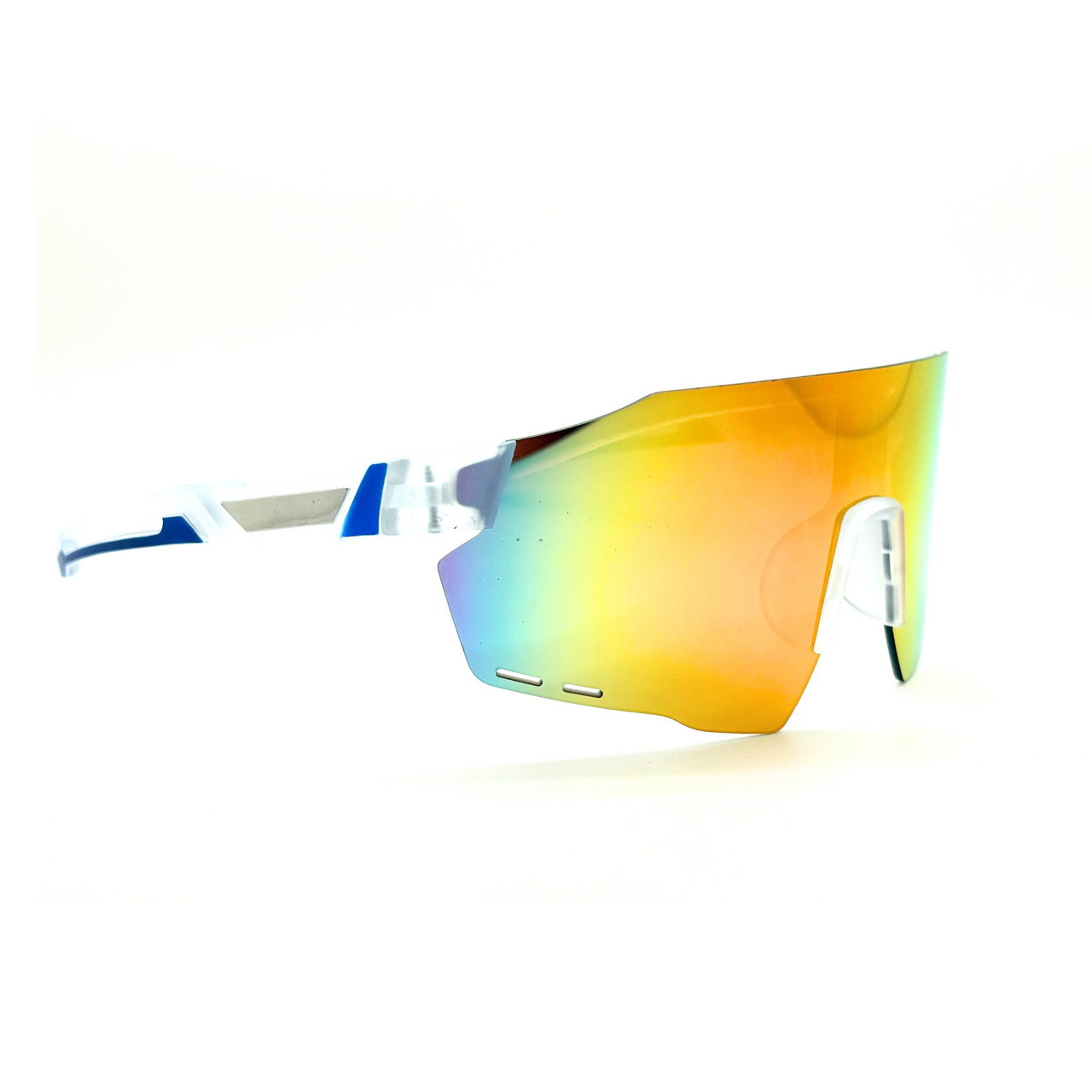 Triomphe Sunglasses